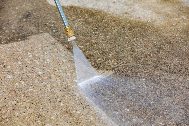 Best Roof Washing  in Fayette, MS