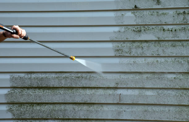 Best Driveway Pressure Washing  in Fayette, MS